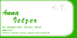 anna velzer business card